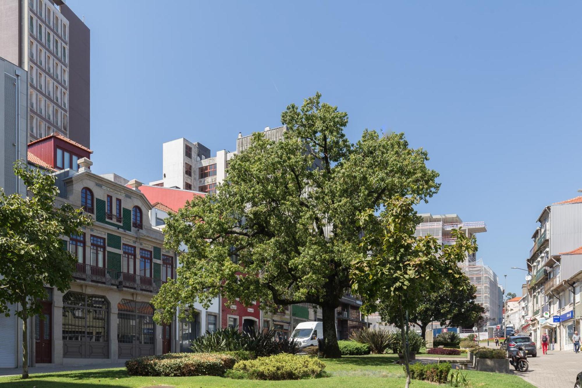 Qp Apartments Trindade 波尔图 外观 照片